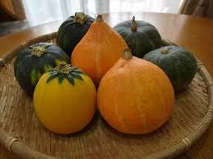 西洋かぼちゃと日本かぼちゃの違い 種類 栄養 品種や特徴についてのまとめ お役立ち 季節の耳より情報局
