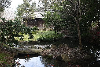 鈴木屋敷の画像