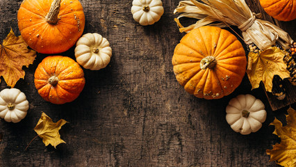 かぼちゃ3種類27品種まとめ 甘くておいしい種類をチェック 特徴が色々あって面白い お役立ち 季節の耳より情報局