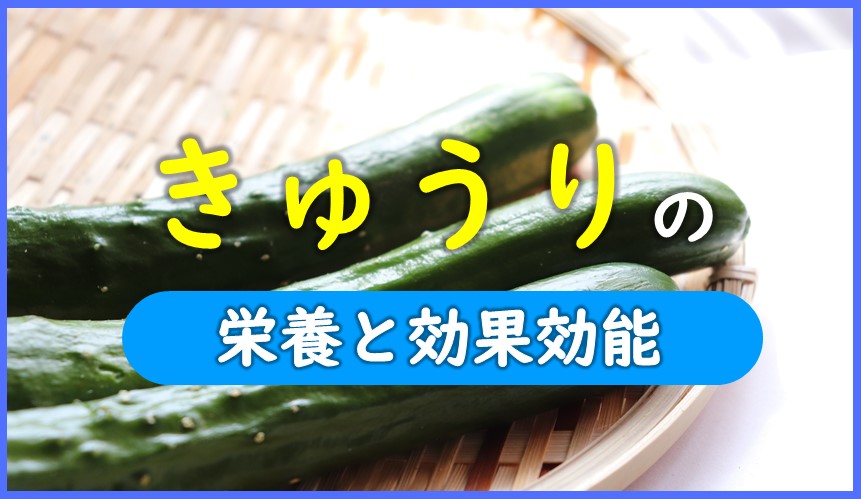 きゅうりとうりのこ。 口金オーダーぶん りんご がま口 - 素材/材料