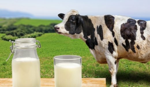【2020年】牛乳の生産量ランキング！日本ではどの県が多い？