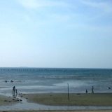 潮干狩り～千葉県富津海岸周辺の情報と2016年潮見表の入手方法