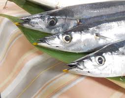 秋刀魚の旬の時期は何月まで？一番脂がのっているシーズン、栄養、見分けるポイント、安く買える時期について