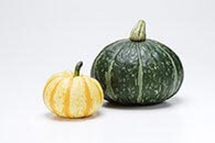 かぼちゃは低カロリーでダイエットにおすすめ！効果的に太らない体質作り