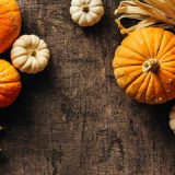 かぼちゃ3種類27品種まとめ｜甘くておいしい種類をチェック、特徴が色々あって面白い