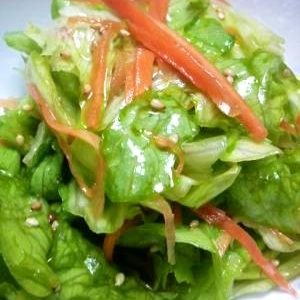 チョレギサラダは太る？体に悪い？本当のダイエット向きサラダは・・・