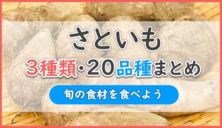 約2.5kg  サトイモ ブランド 新潟県産  砂里芋 さりいも Mサイズ  当店一番人気 里芋 さといも