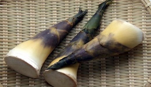 緑竹の特徴・旬の時期まとめ｜台湾原産のアクが少ない南国タケノコ