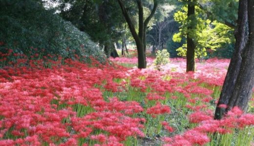 七ツ森古墳群を解説！アクセス・周辺おすすめランチまとめ