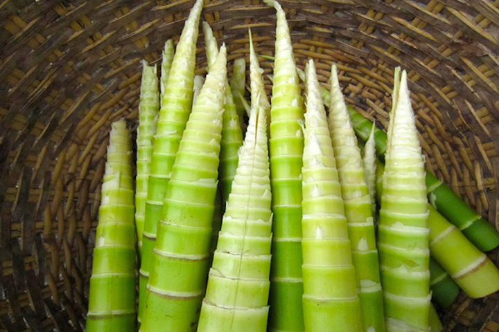 淡竹の特徴 旬の時期まとめ 甘みや苦味 アクも少ない生でも食べられるたけのこ お役立ち 季節の耳より情報局