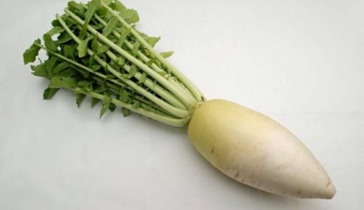 大根は冷凍保存することはできるのか？保存期間はどれぐらい？
