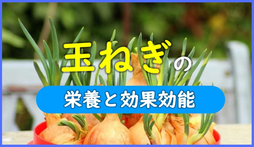 玉ねぎの主な栄養成分と期待できる効果 効能は 硫化アリルで血液サラサラに お役立ち 季節の耳より情報局