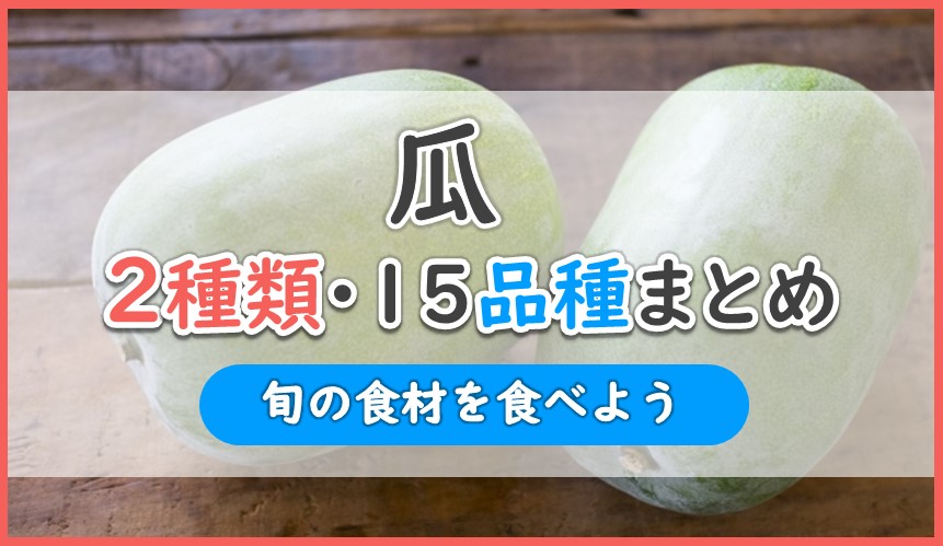 瓜を2種類15品種でまとめ解説 おいしいのはどれ 九州 沖縄 本州産 お役立ち 季節の耳より情報局