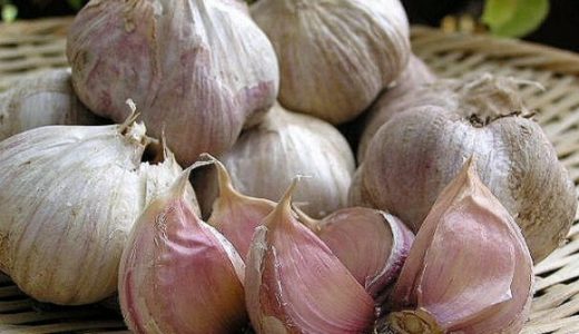 にんにく醤油漬けの食べ過ぎは太る？体に悪い？どのくらいなら大丈夫?