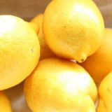 レモン果汁の保存方法、保存期間は？｜保存の仕方をご紹介します