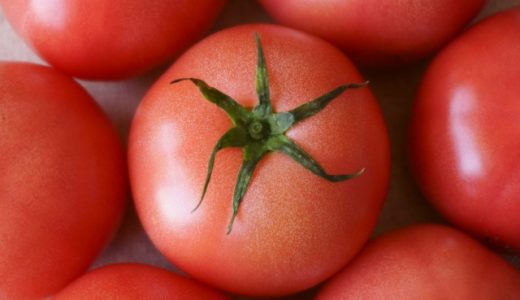 トマトケチャップの保存方法、保存期間は？｜冷蔵・冷凍保存の仕方、海外事情も解説