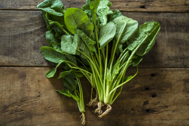 ほうれんそうの部位を画像付きで紹介 根っこ 茎 葉をチェック 花言葉は何 お役立ち 季節の耳より情報局