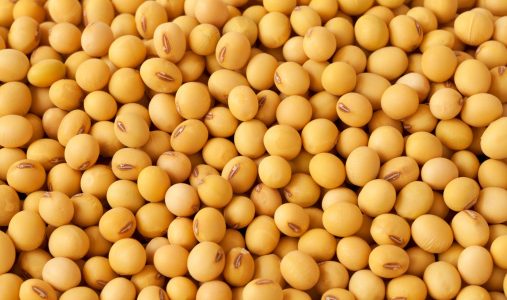 大豆アレルギーでも枝豆は大丈夫？納豆や味噌は？食べれるものは？