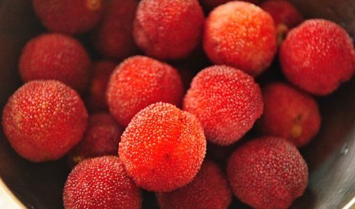 ヤマモモで作るジャムが固まらない原因を解説！成分や固めるコツも