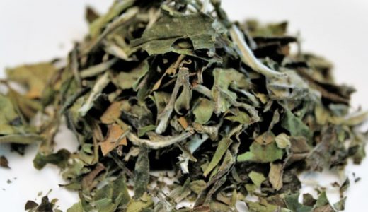 お茶の葉の保存方法・保存期間の目安を解説！常温・冷蔵・冷凍保存どれが長持ち？