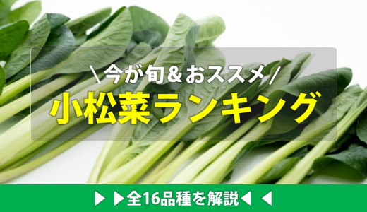 小松菜の旬おススメランキング16種類まとめ！美味しいのは変種？改良種？