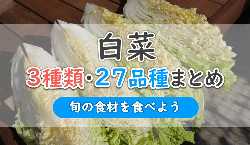 白菜3種類27品種まとめ一覧 人気ランキングをチェック 結球 半結球 不結球タイプ お役立ち 季節の耳より情報局 白菜3種類27品種まとめ一覧 人気ランキングをチェック 結球 半結球 不結球タイプ お役立ち 季節の耳より情報局