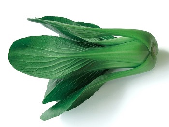 リューロンの特徴・旬の時期まとめ｜茎が緑色をした青茎チンゲンサイ