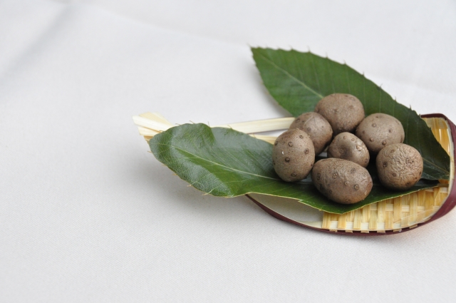 むかごの特徴 旬の時期まとめ 茎の付け根に形成される山芋の肉芽 お役立ち 季節の耳より情報局