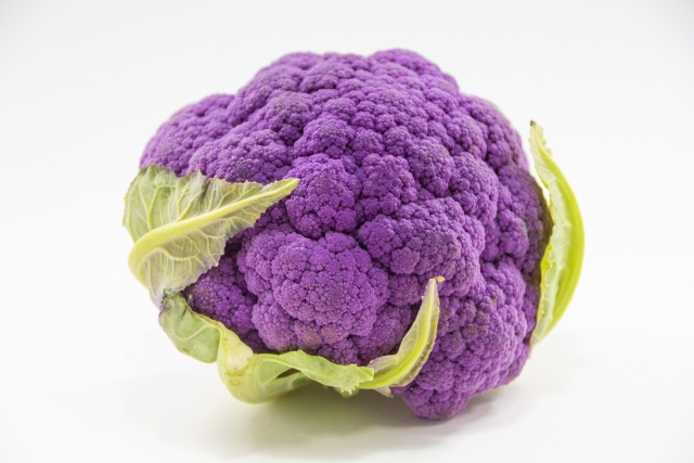紫ブロッコリーの特徴 旬の時期まとめ 紫色のブロッコリー お役立ち 季節の耳より情報局
