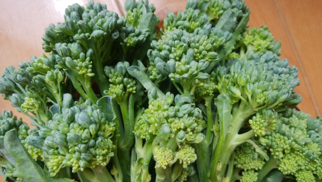 はなっこりーの特徴 旬の時期まとめ 細長い姿の茎ブロッコリー お役立ち 季節の耳より情報局
