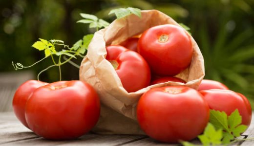 トマトを毎日食べるとどうなる？結果と効果効能｜食べ過ぎは体に影響がある？