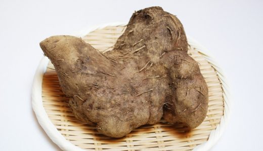 台湾山芋の特徴・旬の時期まとめ｜熱帯から亜熱帯地域で栽培される大きな山芋