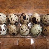 うずらの卵1日何個までOK?たんぱく質、コレステロール、鶏卵との違いとは?