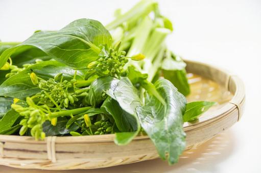 アスパラ菜の茹で時間はどのくらい 葉っぱも茎も食べられる 人気レシピも お役立ち 季節の耳より情報局