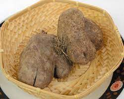 アラブ芋の特徴・旬の時期まとめ｜大型で珍しい形･自然薯の変形種山芋