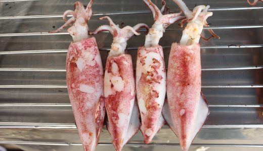 イカを食べて食中毒に！その原因と予防法を解説｜病院受診のタイミングは？