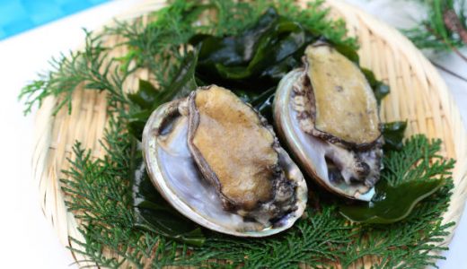 アワビで食中毒に!?生の刺身･肝の食あたりの原因物質はある？貝毒の主な症状