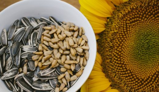 ひまわりの種の毒性は?死ぬ事も?生の食べ方を解説!糖尿病改善の効果も!