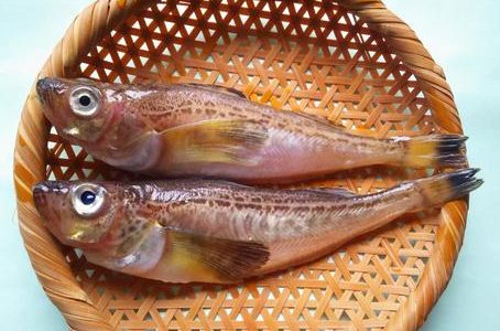 ハタハタの寄生虫による食中毒の危険は？加熱で死ぬ？冷凍保存･内臓は食べる？