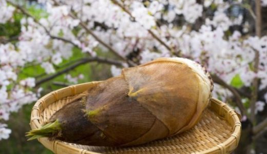 たけのこが冷凍でスカスカになっても食べられる?長持ちする保存や解凍の方法