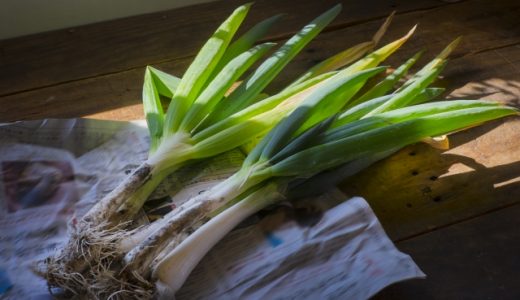 下仁田ネギの緑の部分(青い部分)が大量に余った!料理法･レシピを紹介