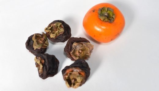 干し柿のカビは食中毒を引き起こす!?カビを取り除けば食べても大丈夫って本当?