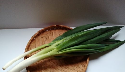 ネギを生で食べ過ぎると下痢･腹痛に!?栄養効果&ネギだけおつまみレシピ