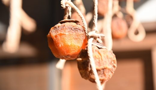 干し柿の食べ過ぎは体に悪い?胃石ができる原因は?一日何個まで食べてもいい?