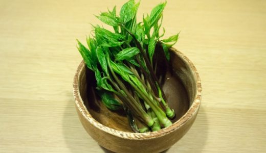 コシアブラってどんな味？旬の時期や食べ方自家栽培で収穫しよう！