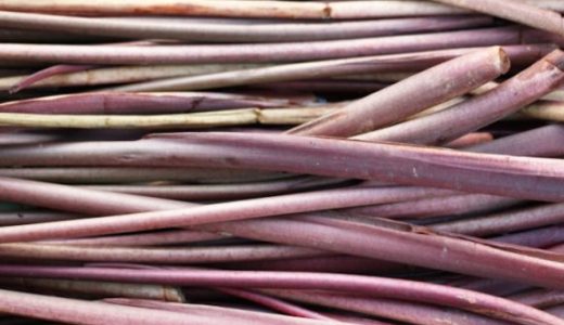芋がらの栄養がスゴイ！効果･効能とは？戻し方･下処理･食べ方を紹介！