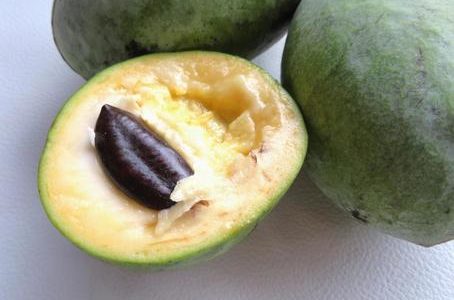 ポポーに毒性はある？下痢やアレルギーの原因に？食べ頃･食べ方･冷凍保存も