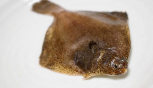 カレイの寄生虫･ヒラメの寄生虫には何がいる?安全に食べる方法や対策とは?