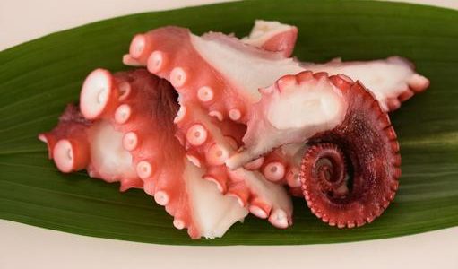 タコの内臓には毒がある？取り除いて食べる方法や見分け方･危険な種類