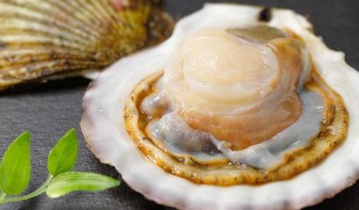 ホタテの食べられない部分はどこ？ヒモやエラ、ウロ、オレンジの部分について